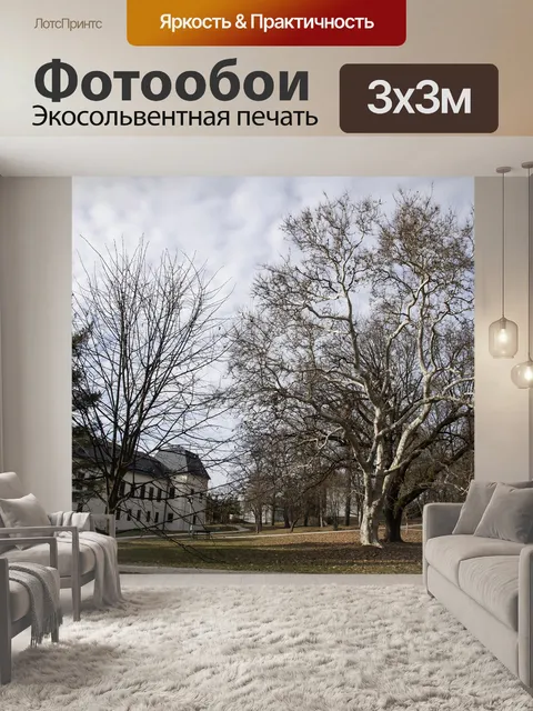 Фотообои Городской парк