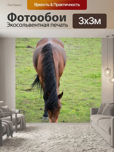 Фотообои Лошади и ферма пони