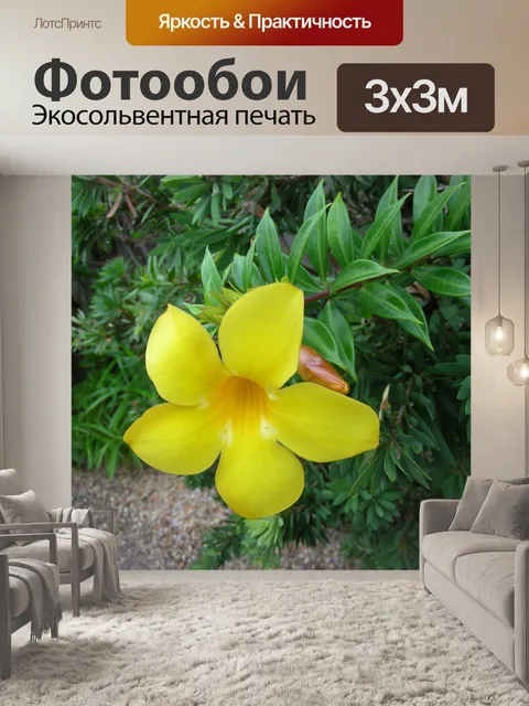 Фотообои Желтый