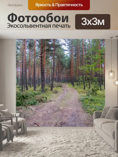 Фотообои Путь