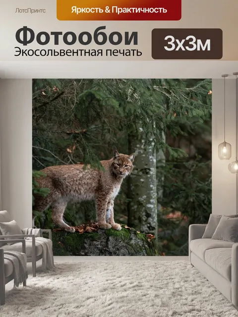 Фотообои Рысь