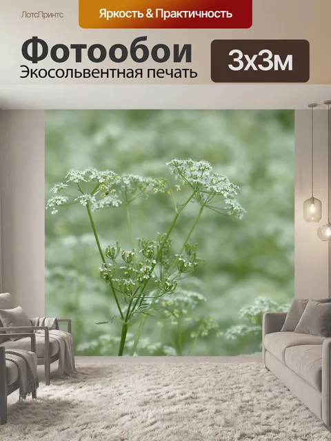 Фотообои Луговой кервель