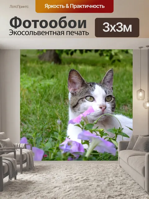 Фотообои Белый