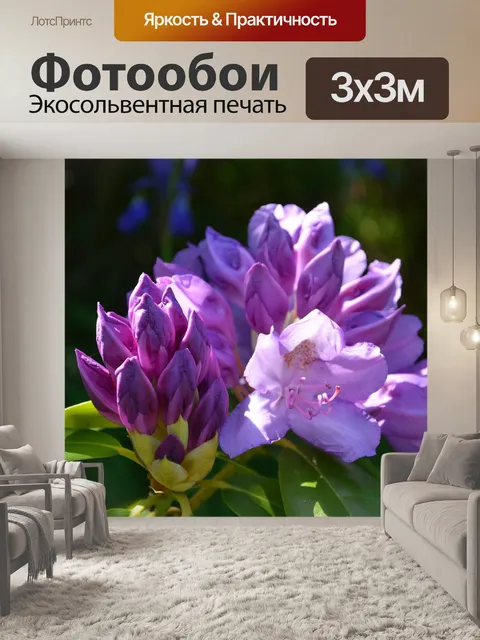 Фотообои Рододендрон