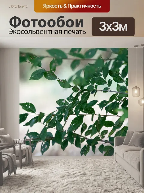 Фотообои Листья