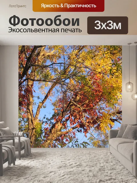 Фотообои Деревья в осень