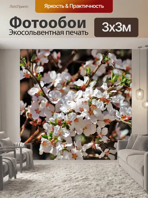 Фотообои Белое дерево цветет крупным планом