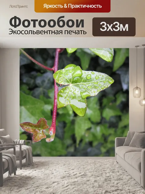 Фотообои Плющ