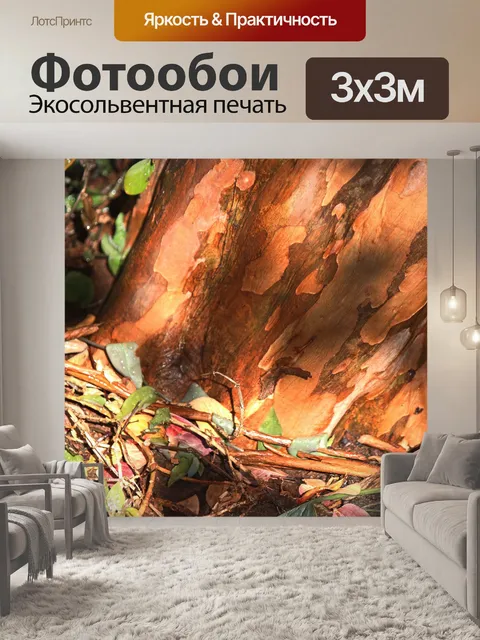 Фотообои узорчатое основание гордости Индии