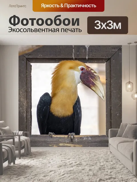 Фотообои Носорог