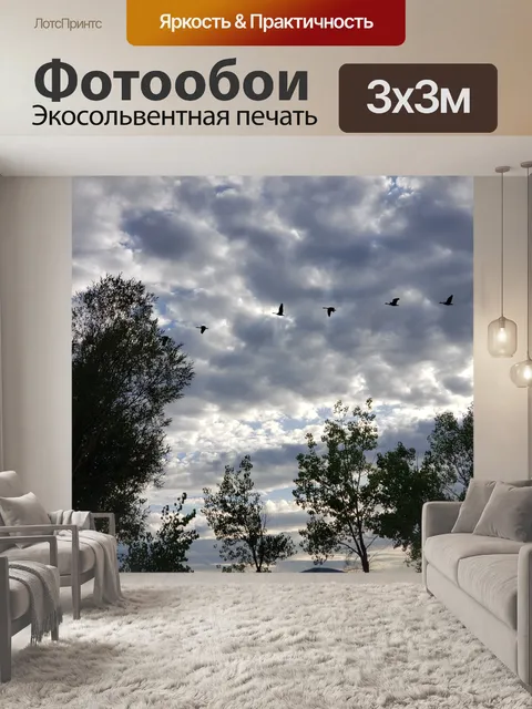 Фотообои Летающие гуси
