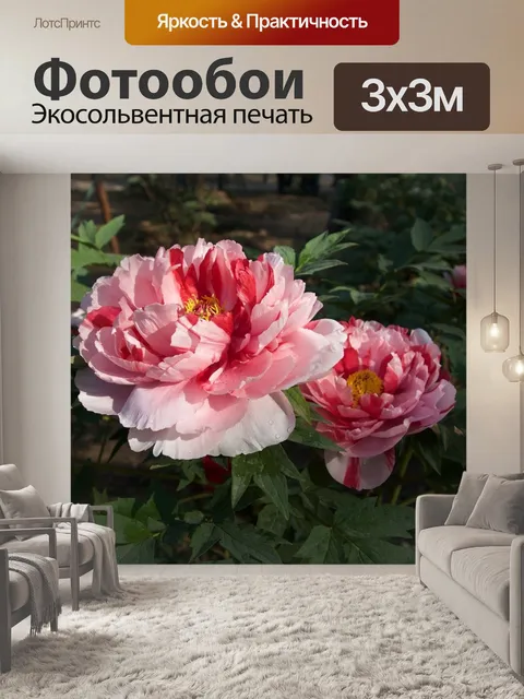 Фотообои Остров кин