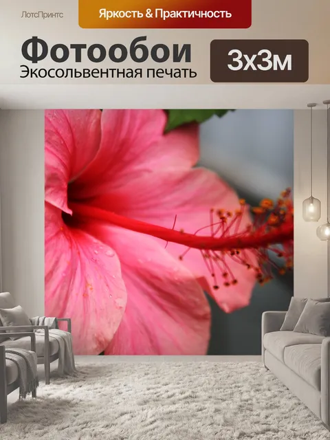 Фотообои Gumamela
