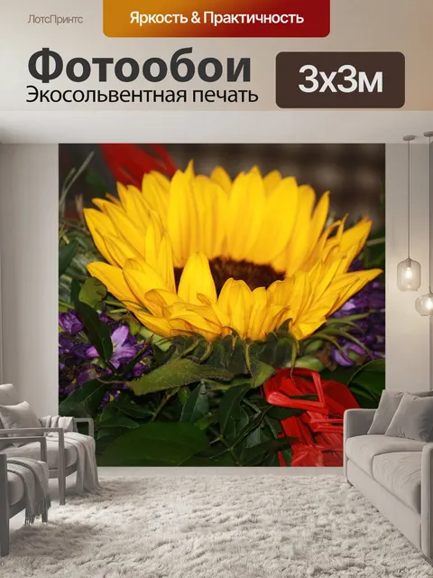 Фотообои Подсолнух