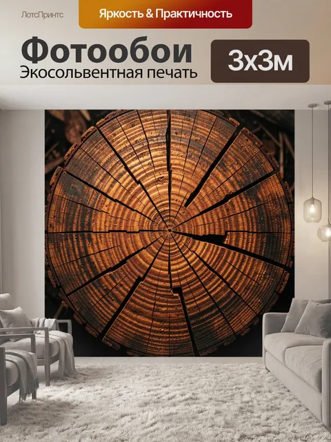Фотообои Срез древесины с годичными кольцами