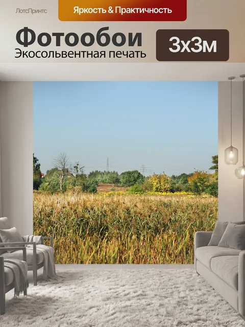 Фотообои Автор