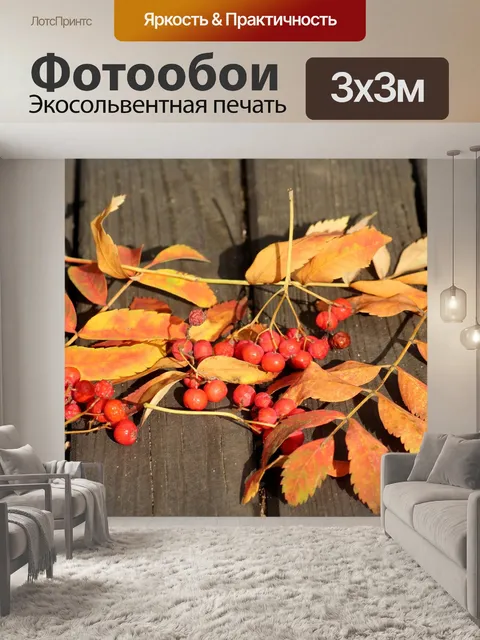 Фотообои Рябина
