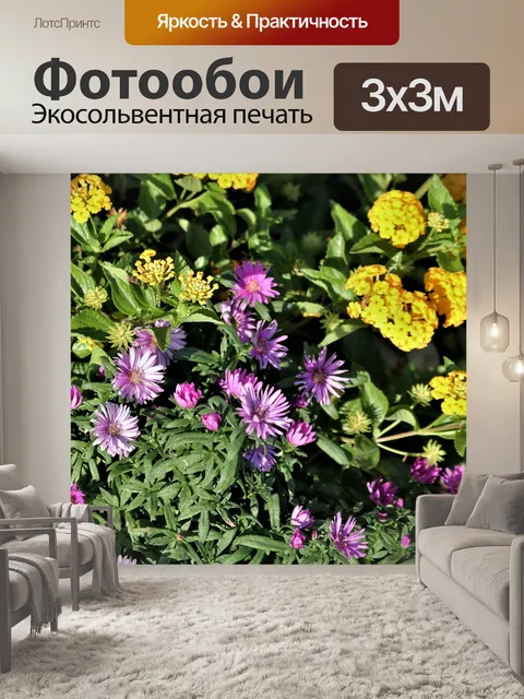 Фотообои Фиолетовые астры и желтая Лантана