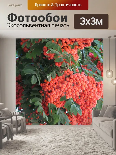 Фотообои Рябина