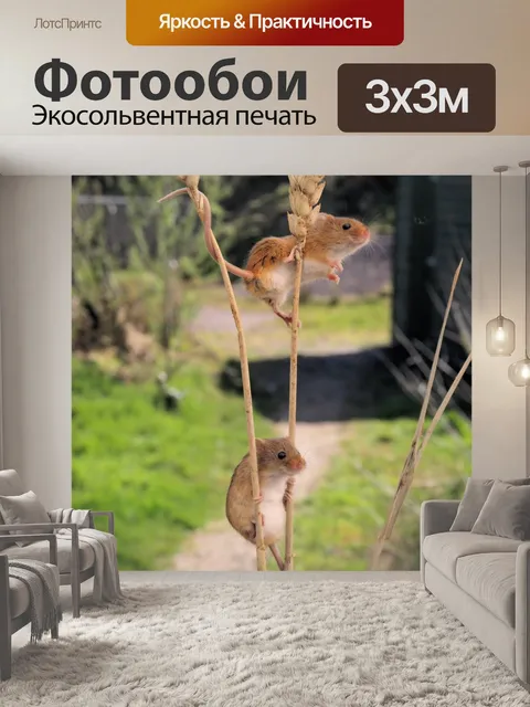 Фотообои Урожай мышей