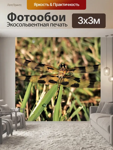 Фотообои Хэллоуин вымпел Стрекоза