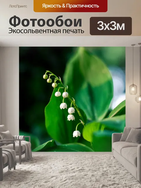 Фотообои Ландыш