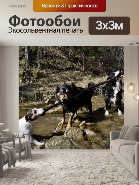 Фотообои Собаки