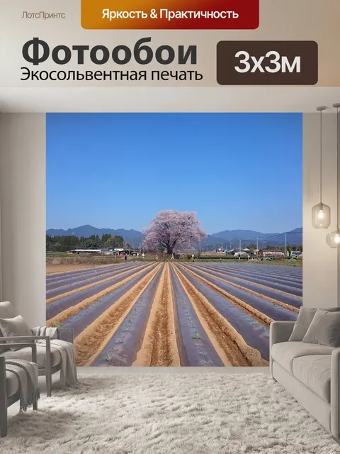 Фотообои Вишневое дерево