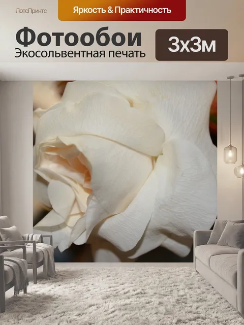 Фотообои Макро свадьба душ Белые цветы