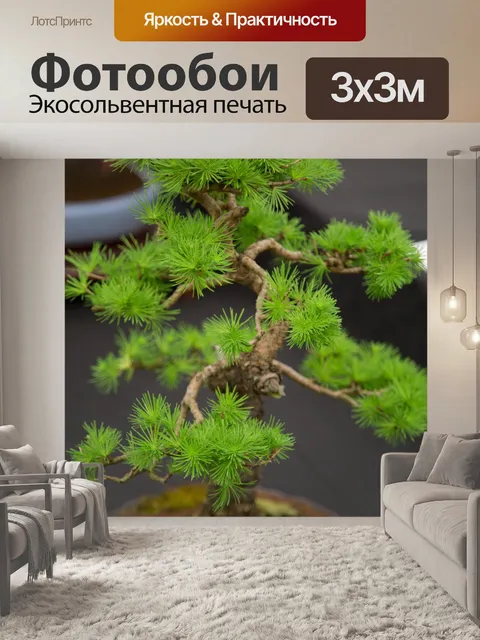 Фотообои Миниатюрный японский бонсай дерево