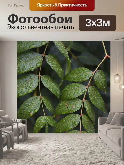 Фотообои Дождь на листьях