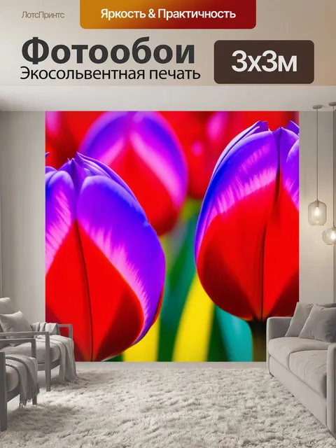 Фотообои тюльпаны в виде абстракции