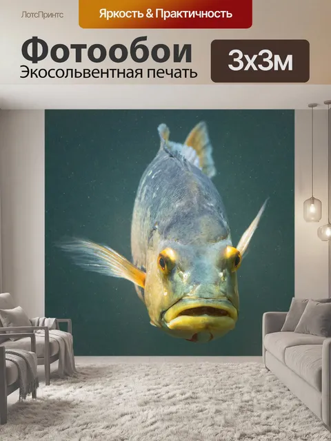 Фотообои Cichla ocellaris fish