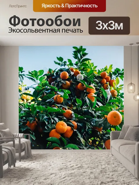 Фотообои Апельсин