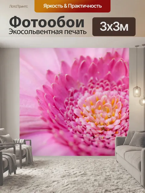 Фотообои розовые герберы