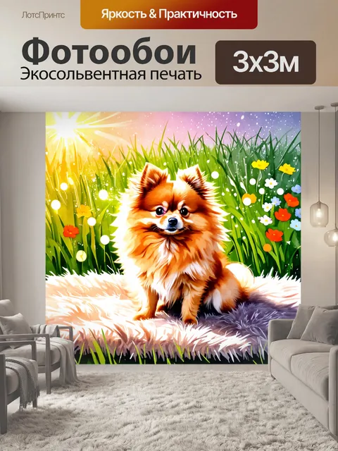 Фотообои на мягком пушистом ковре сидит померанский шпиц