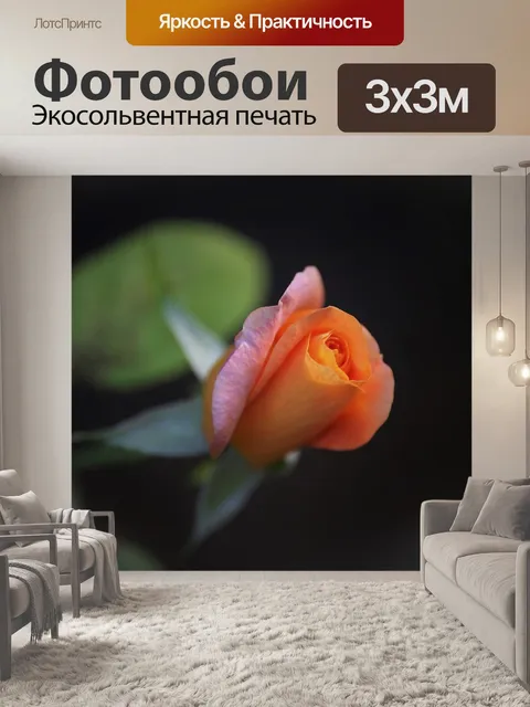 Фотообои Золотая медаль роза