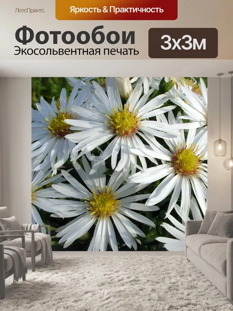 Фотообои Белые и желтые цветы