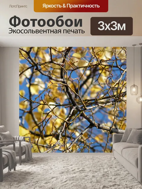 Фотообои Ветви