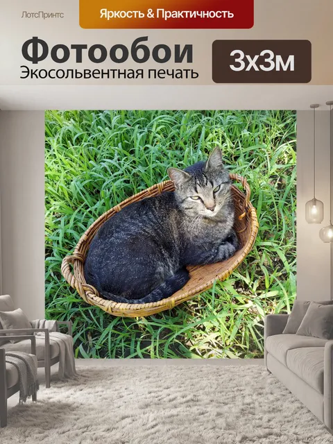 Фотообои Кот в корзине