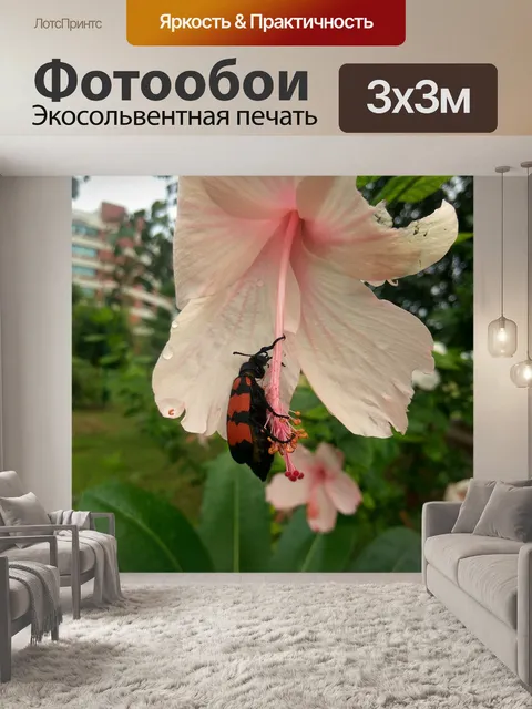 Фотообои Красный