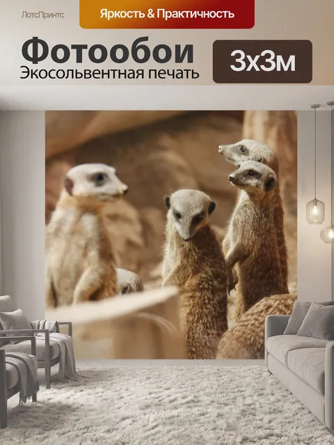 Фотообои сурикаты