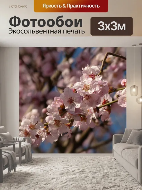 Фотообои Цветок миндаля