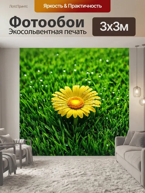 Фотообои с цветком, окруженным каплями утренней росы, блестящими на солнце, и мягким зеленым травяным покровом