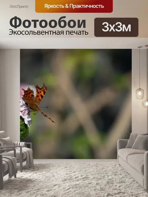 Фотообои Бабочка-павлин, насекомое