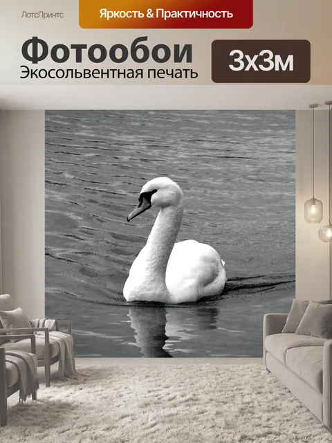 Фотообои Лебедь