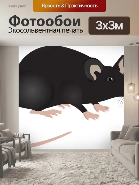 Фотообои Лабораторная мышь