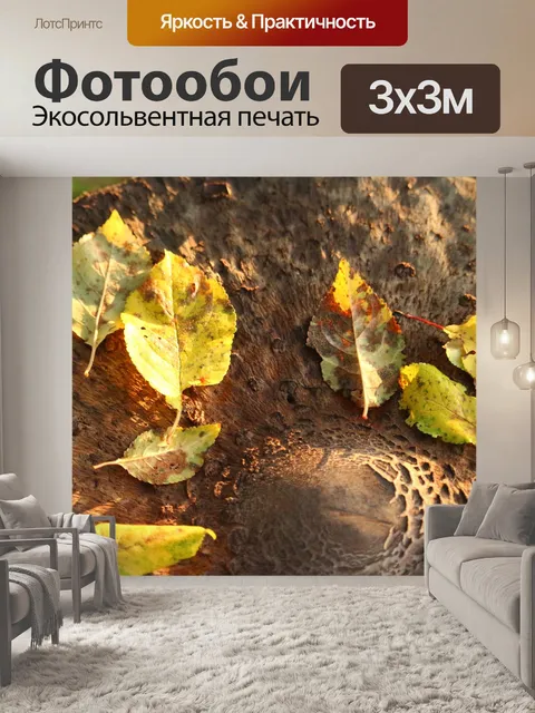 Фотообои Падение