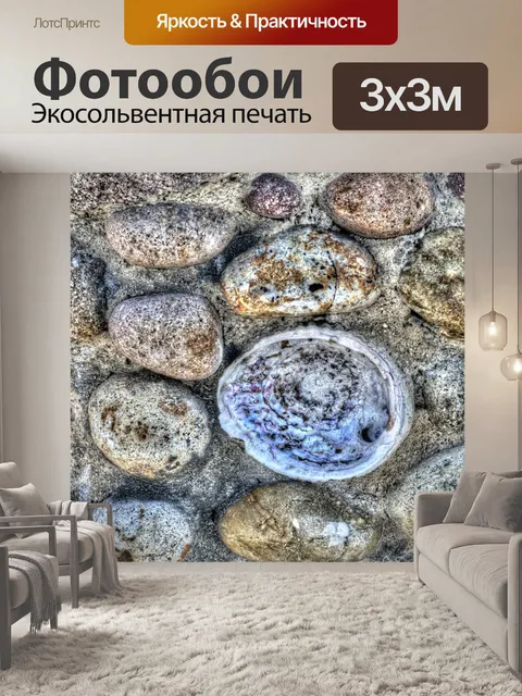Фотообои Abalone Shell