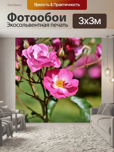 Фотообои Кустовая роза